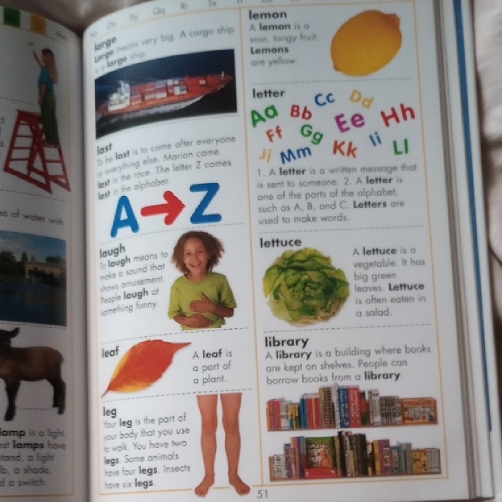 First Picture Dictionary Book - Picture 2 of 2